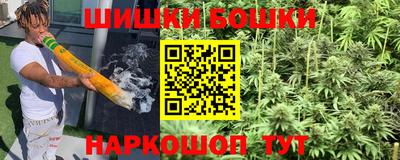 гидра Краснодар