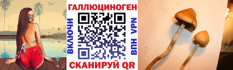 купить наркотик  мориарти состав  Галлюциногенные грибы Psilocybe  Ревда 