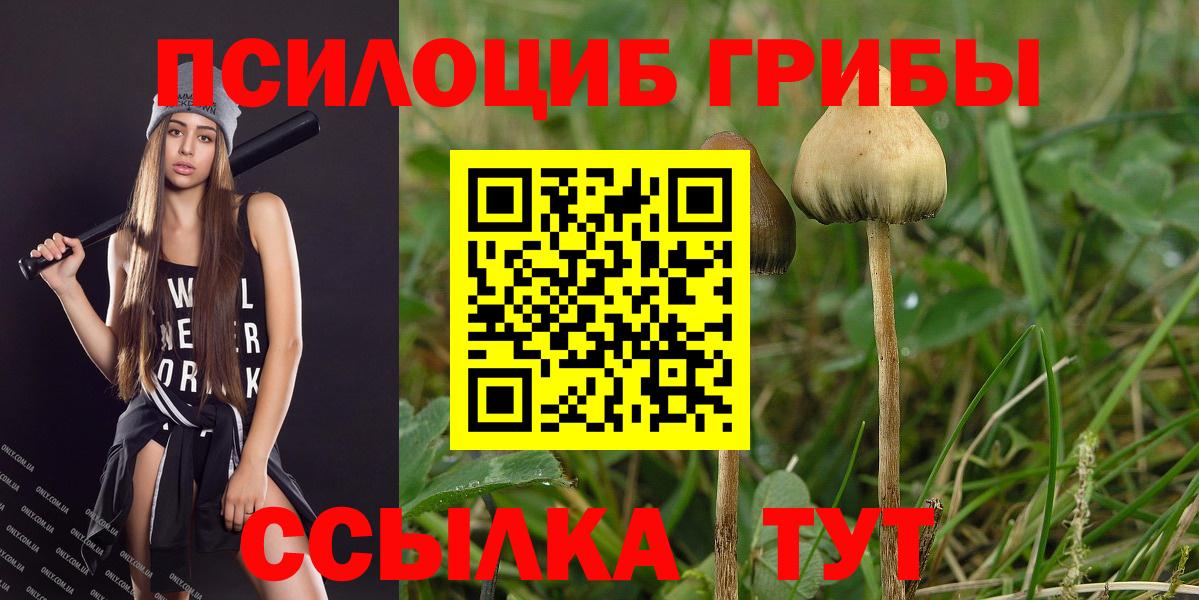 Галлюциногенные грибы ЛСД Ревда