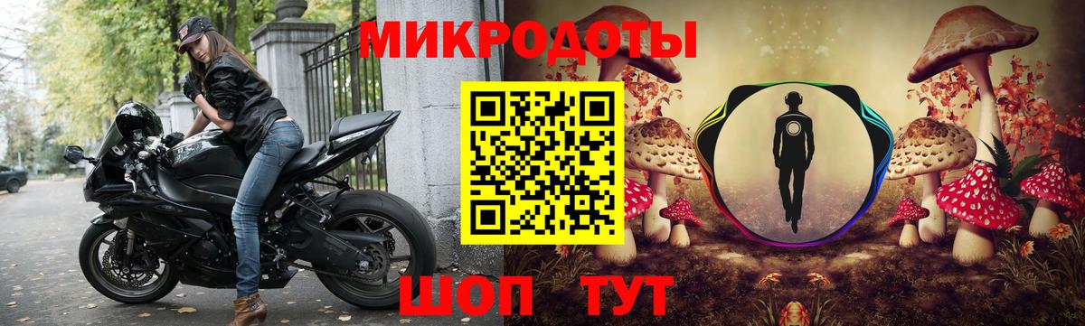 Галлюциногенные грибы GOLDEN TEACHER  купить наркоту  Псилоцибиновые грибы ЛСД  Ревда 