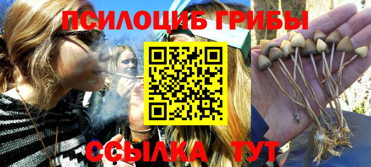 Псилоцибиновые грибы ЛСД  Вход с VPN  Псилоцибиновые грибы ЛСД  Ревда 
